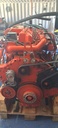 DI 9 55 M n° 5196537