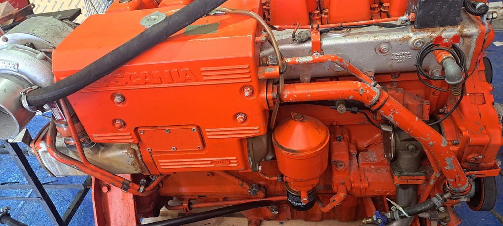 DI 9 55 M n° 5196537